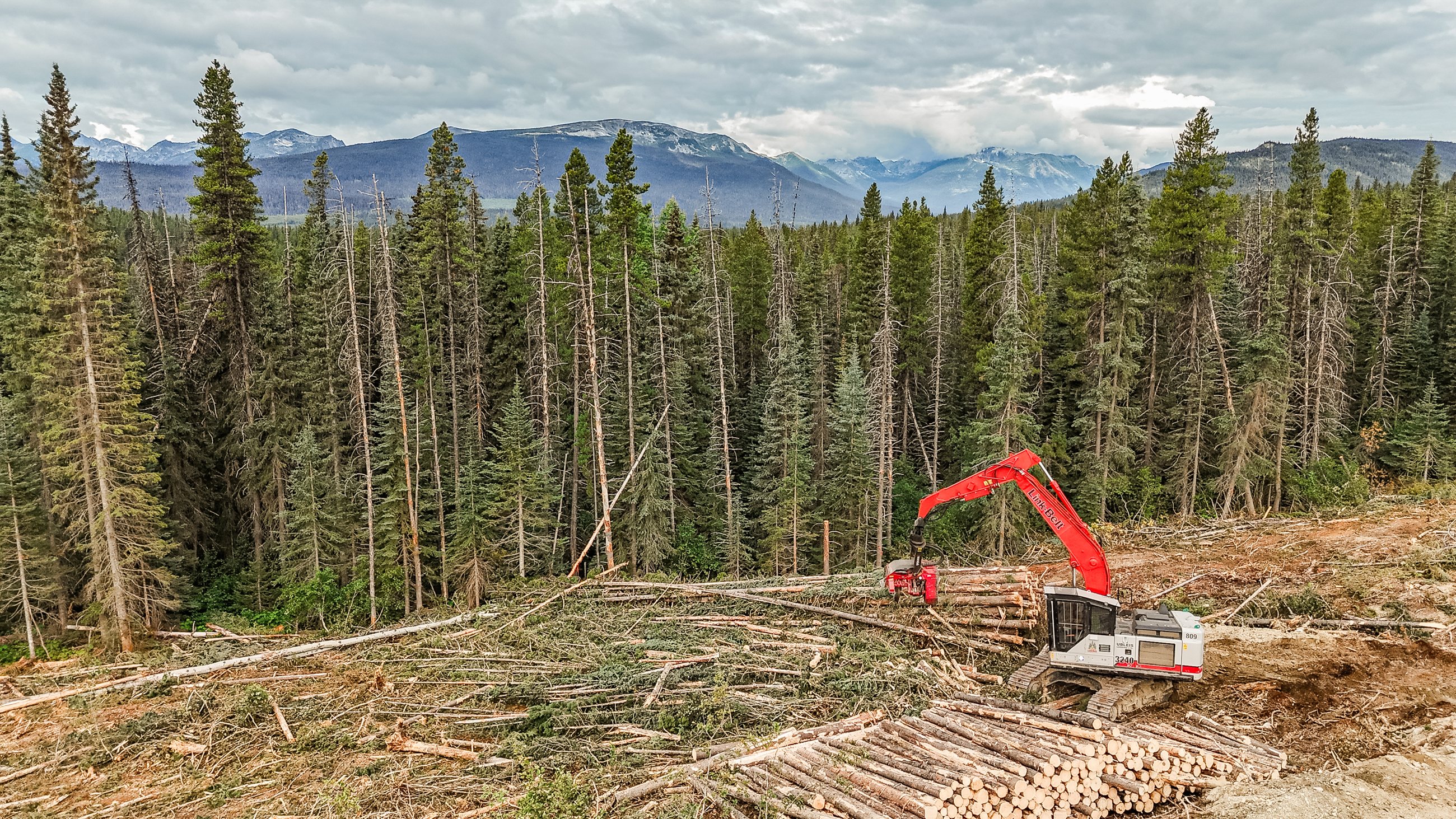 Forest and ranges from the air, northern British Columbia