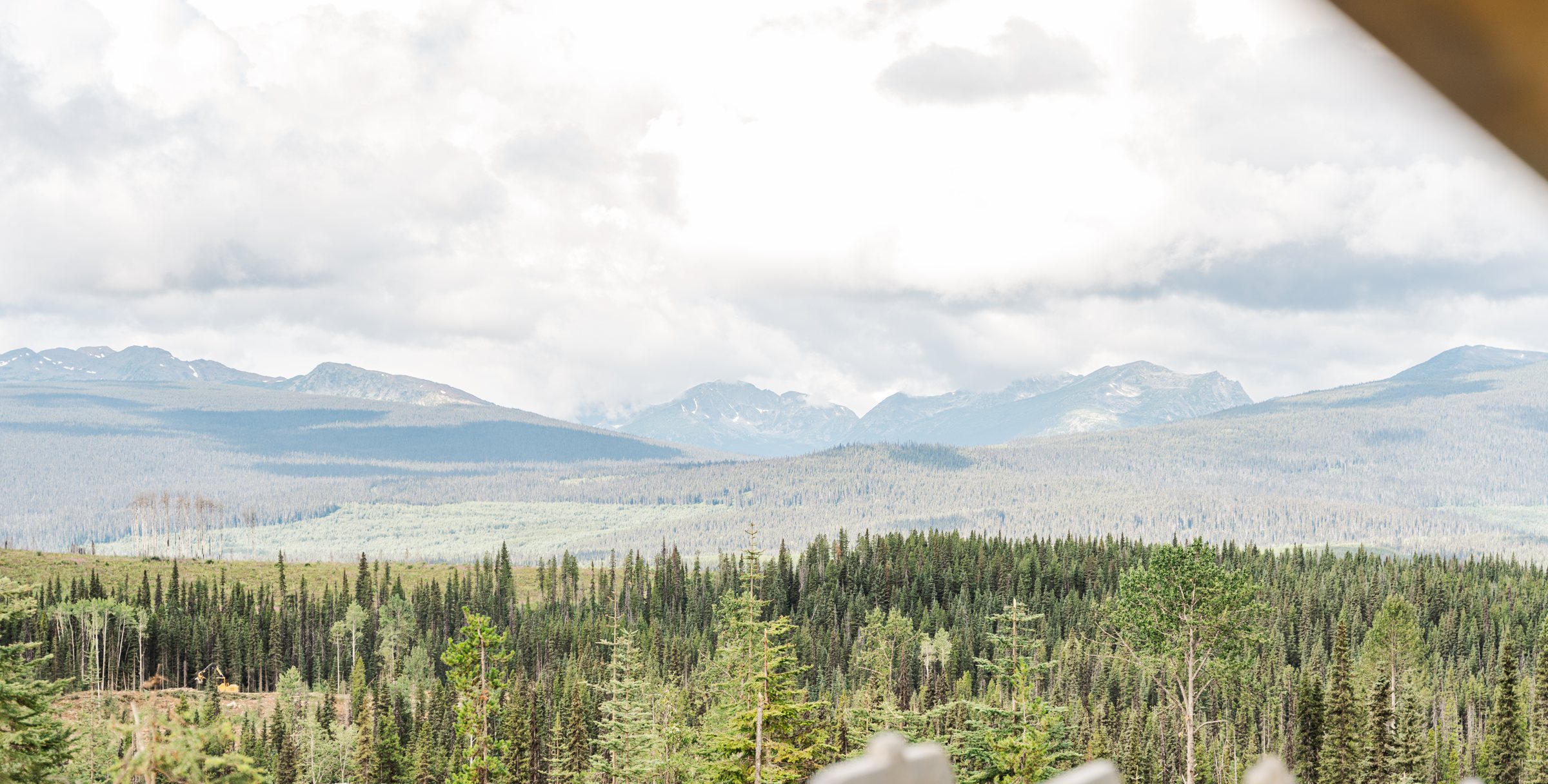 Ranges beyond the cutblock, northern British Columbia